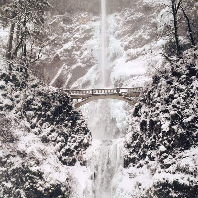 Cascata ghiacciata con ponte in inverno, America, USA — Foto stock