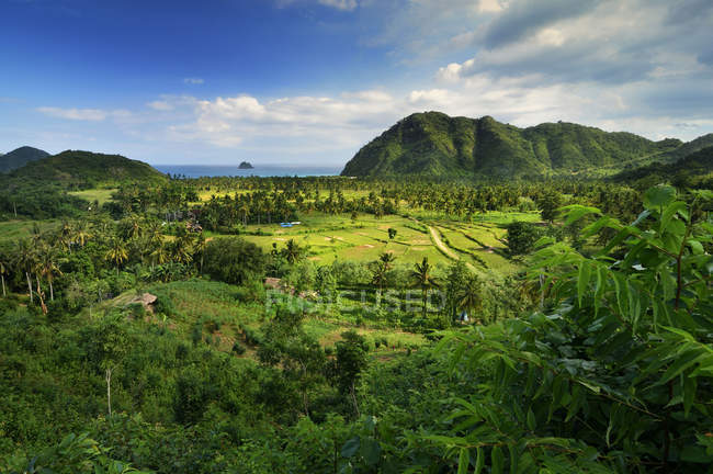 Vista elevada da fazenda, mar no fundo, West Nusa Tenggara, Indonésia — Fotografia de Stock