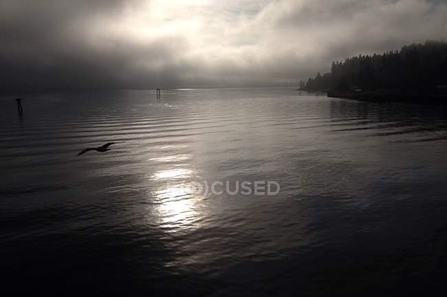 Estados Unidos, Washington State, Kitsap County, Bainbridge Island, Salish Sea. Isla Bainbridge, Aguas tranquilas del Puget Sound - foto de stock