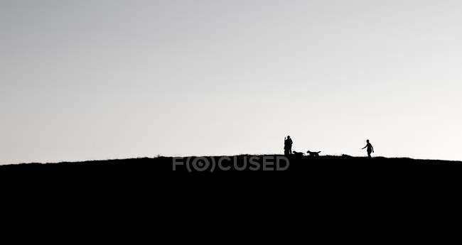 Distant view of father, daughter and son walking with dogs on hill — Stock Photo