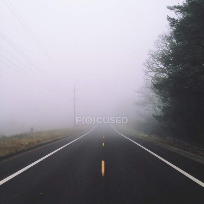 Nebbia giù sulla strada vuota con alberi e fili ai lati — Foto stock