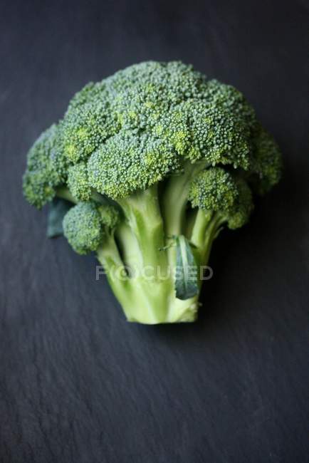 Nahaufnahme von frisch gepflücktem Brokkoli auf Schiefer — Stockfoto