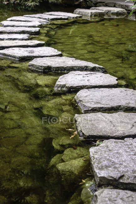 Мальовничим видом Stepping каменів через ставок у Кровать квітки маку — стокове фото