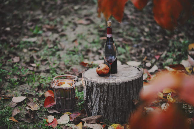 Still life with bottle of red wine, Glass and pomegranate in autumn scene, Italia, Piedmont, Tortona — Stock Photo