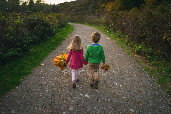 Vista trasera del hermano y la hermana caminando en el parque con la mano en la mano - foto de stock