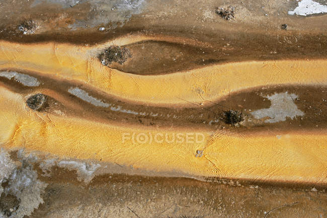 Close-up de depósitos minerais no Parque Nacional de Yellowstone, Wyoming, América, EUA — Fotografia de Stock