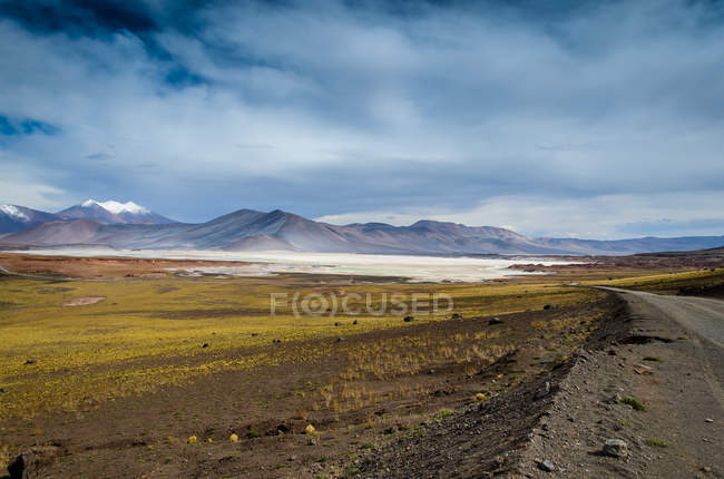Живописный вид на соляные равнины Талар, Сокайр, Чили — стоковое фото