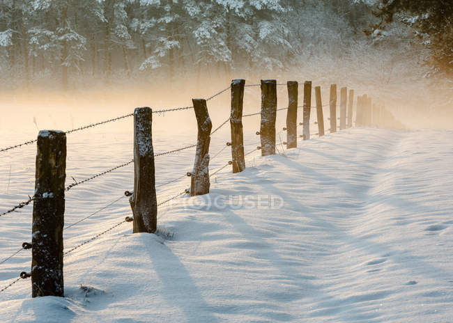 Vista panorámica de postes de madera con valla de alambre de púas en la nieve, Mookerheide, Países Bajos - foto de stock