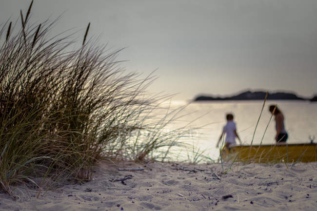 Мальовничий вид на пляж з дітьми, які грають на фоні — стокове фото