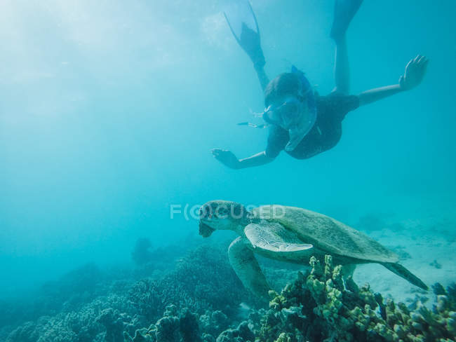 Green turtle and teenage girl swimming underwater — Stock Photo