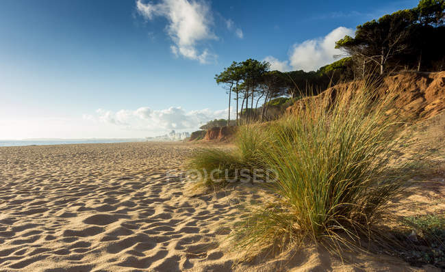 Мальовничим видом порожній пляжу Фару, Португалія — стокове фото