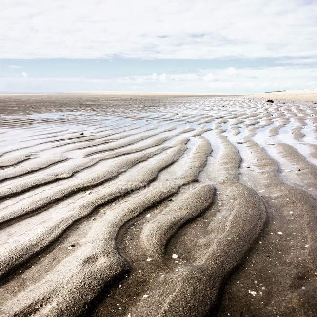 Рябь в песке на пляже, Маасвале, Голландия — стоковое фото