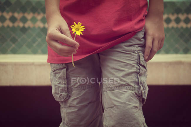 Imagem cortada de Menino segurando uma flor — Fotografia de Stock
