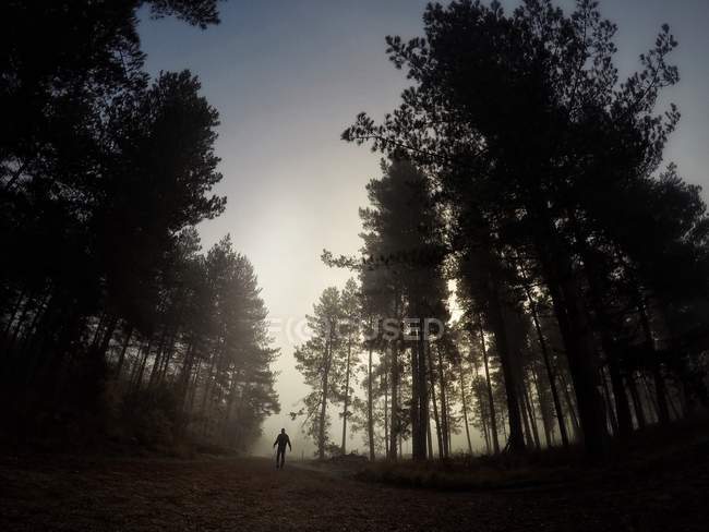Homem caminhando no caminho em uma floresta com nevoeiro — Fotografia de Stock