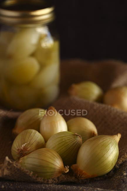 Ein Haufen Zwiebeln auf altem Beutel und eingelegte Zwiebeln in Dose auf dem Hintergrund — Stockfoto