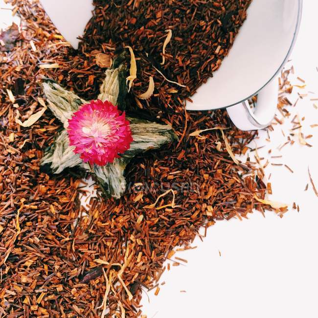 Lose Oolong-Teeblätter, die aus einer Tasse austreten — Stockfoto
