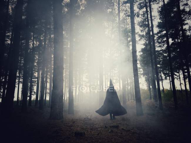 Mujer vestida como una bruja caminando por el bosque - foto de stock