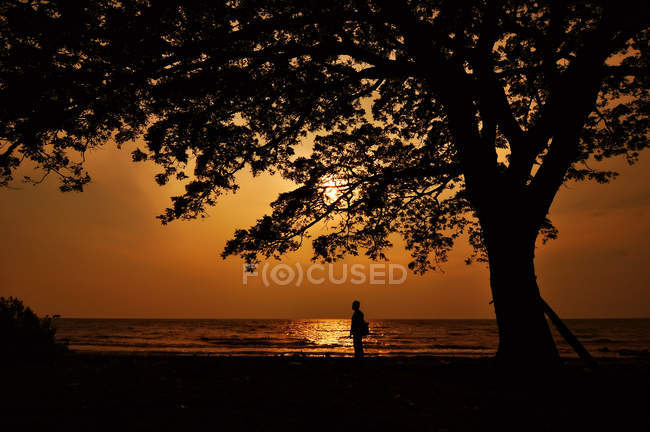 Indonesien, Süd-Kalimantan, Banjarmasin, Silhouette eines Mannes, der am Strand spaziert — Stockfoto