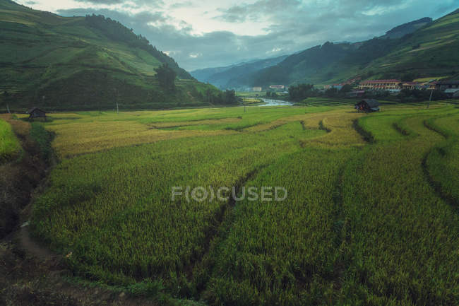 Vista panorâmica dos campos de arroz em terraços de Mu Cang Chai, YenBai, Vietnã — Fotografia de Stock