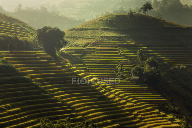 Vista panorâmica do pôr do sol sobre os campos de arroz em terraço de Mu Cang Chai, YenBai, Vietnã — Fotografia de Stock