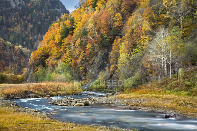 Scenic view of river valley in autumn, Hokkaido, Japan — Stock Photo