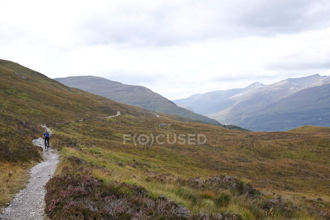 Вид сзади человека, катающегося на горном велосипеде на тропе, Нагорье, Шотландия — стоковое фото