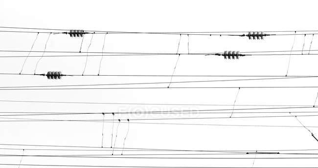 Ряды электрических кабелей против неба — стоковое фото