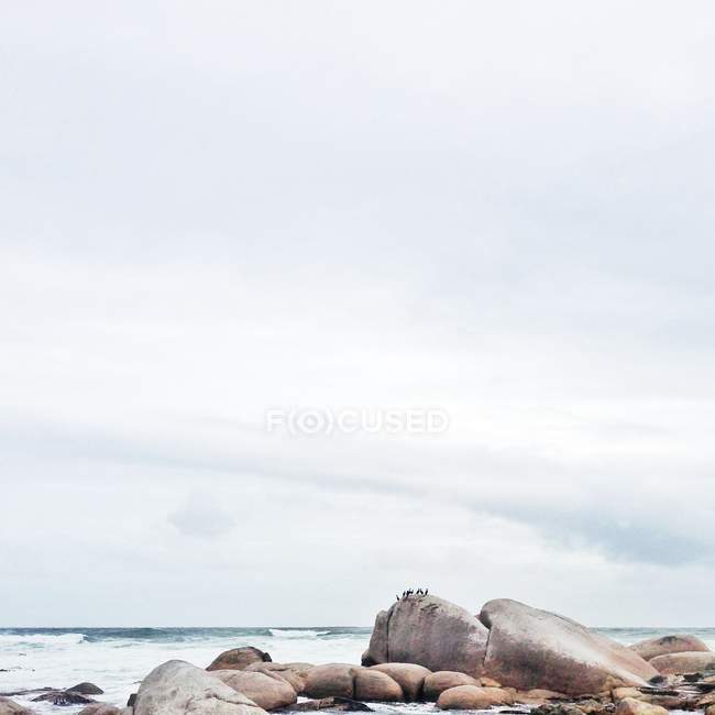 Scenic view of rocks on beach under white sky — Stock Photo