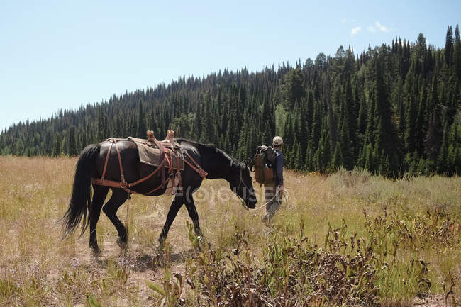Visão traseira do homem andando com cavalo, Wyoming, América, EUA — Fotografia de Stock