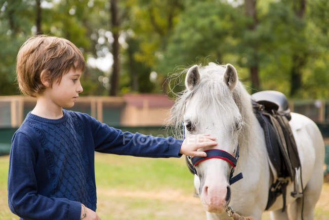 Adorável menino acariciando um bonito cavalo branco — Fotografia de Stock