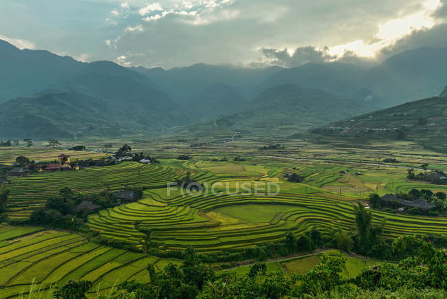 Мальовничий вид на рисових полів на терасові з Mu Cang чай, Yenbai, В'єтнам — стокове фото