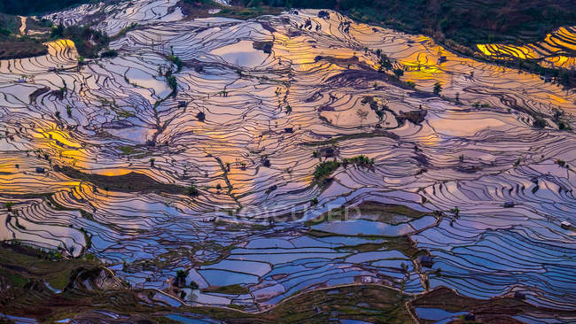 Vista aérea de los campos de arroz en terrazas, Yuanyang, Yunnan, China - foto de stock