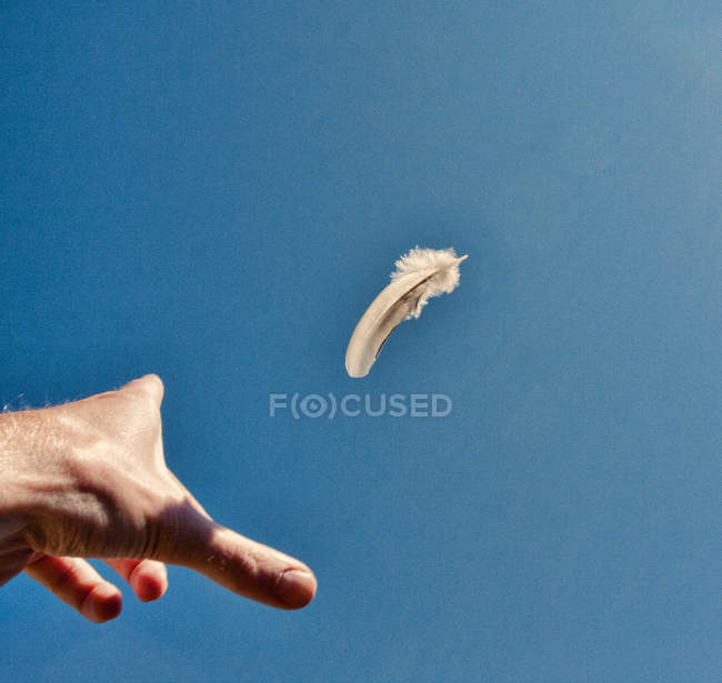 Mano umana gettando piuma in aria a cielo blu chiaro — Foto stock