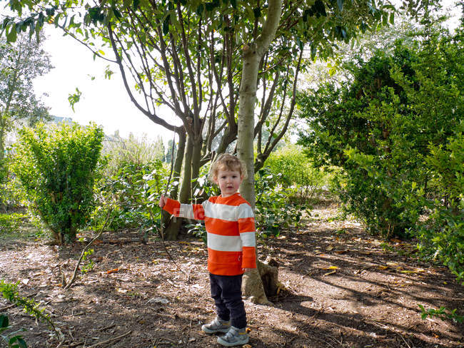 Retrato de menino segurando pau na floresta — Fotografia de Stock