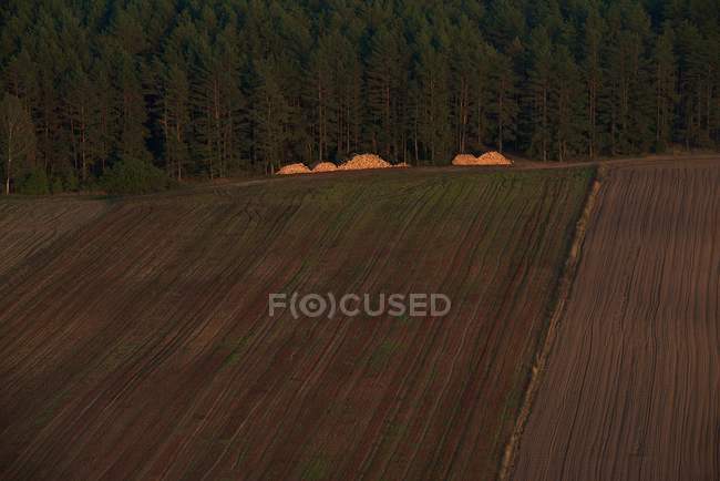 Vista aérea de los campos en otoño, Lituania - foto de stock