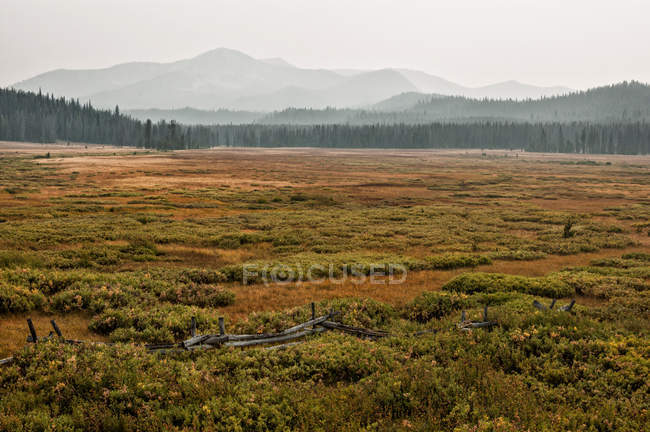 Malerischer Blick auf verrauchte Berge bei nebligem Tag, Stanley, Custer County, Idaho, USA — Stockfoto