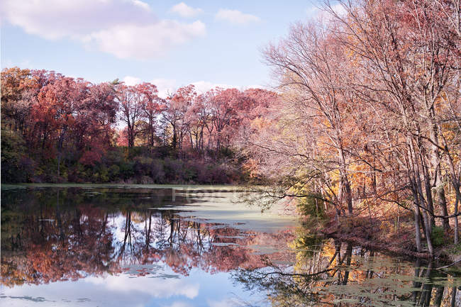 Мальовничим видом барвиста осінь в США, штат Іллінойс, Lasalle County, морили голодом рок — стокове фото