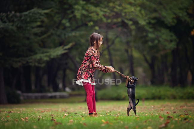 Girl playing with puppy dog in park — Stock Photo