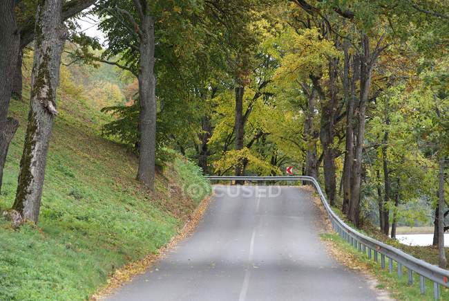 Scenic view of autumn road, Dubingiai, Lithuania — Stock Photo