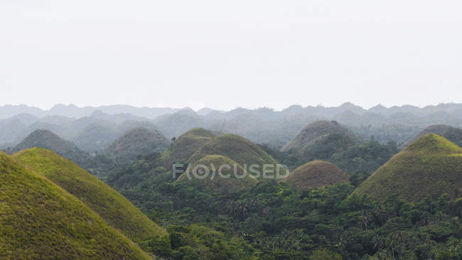 Schokoladenhügel im Nebel, Bohol-Insel, Philippinen — Stockfoto