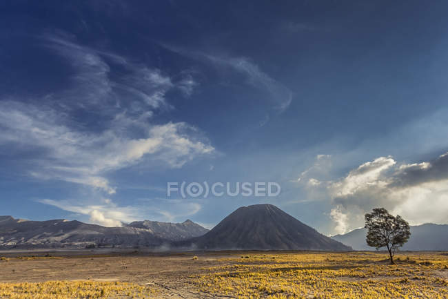 Scenic view of Mount Bromo national park, East Java, Indonesia — Stock Photo