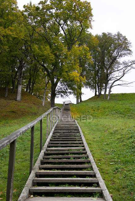 Vue panoramique sur les escaliers en bois menant au vieux château, Dubingiai, Lituanie — Photo de stock