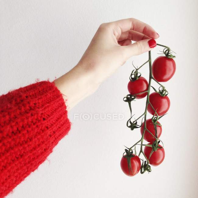 Visão de close-up da mão feminina segurando tomates vermelhos maduros frescos — Fotografia de Stock