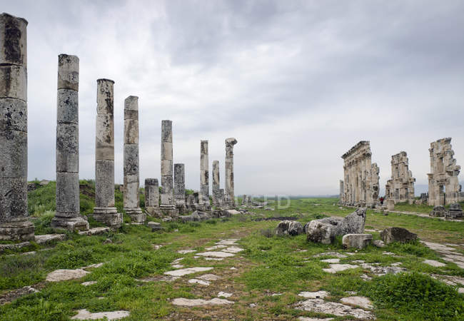 Ruins of ancient roman colonnade, Hama, Syria — Stock Photo