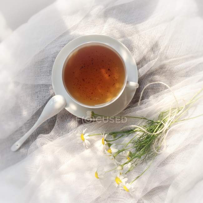 Tea cup and daisies on muslin, elevated view — Stock Photo