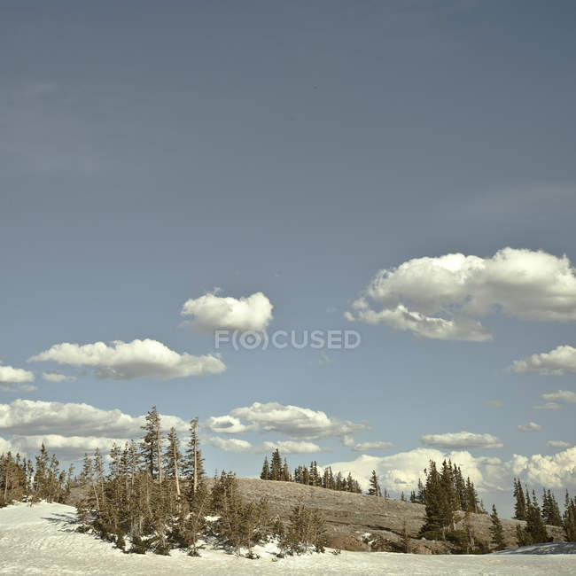 Vue panoramique du paysage, Wyoming, États-Unis — Photo de stock