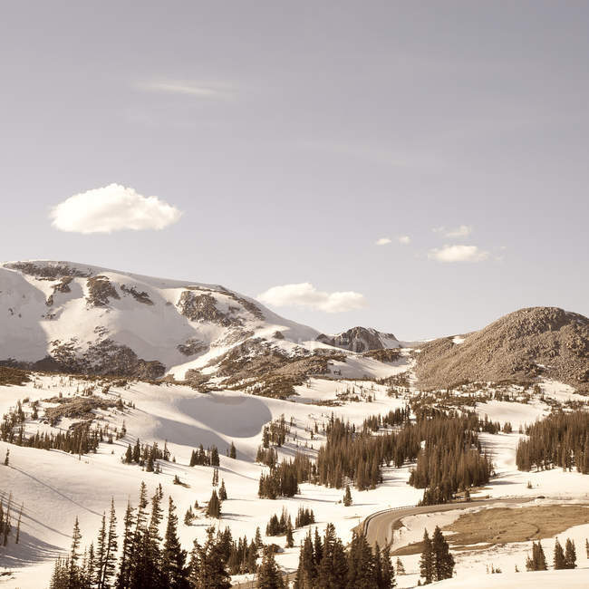 Vista panorámica del hermoso paisaje nevado - foto de stock
