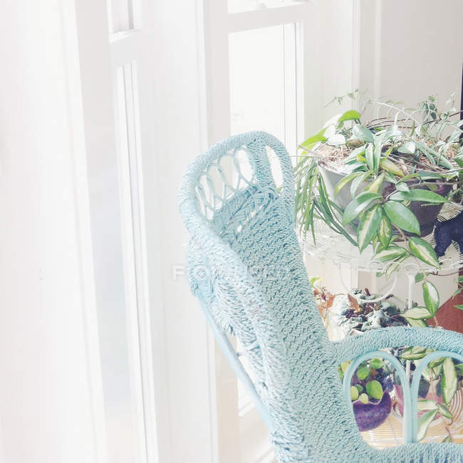 Світла заповнена кімната зі стільцем і горщиками рослин — стокове фото