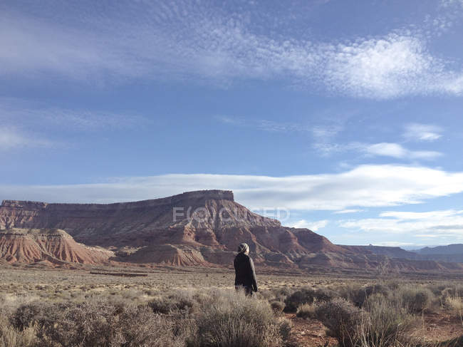 Vista trasera de la mujer cerca del Parque Nacional Zion, Utah, Estados Unidos - foto de stock