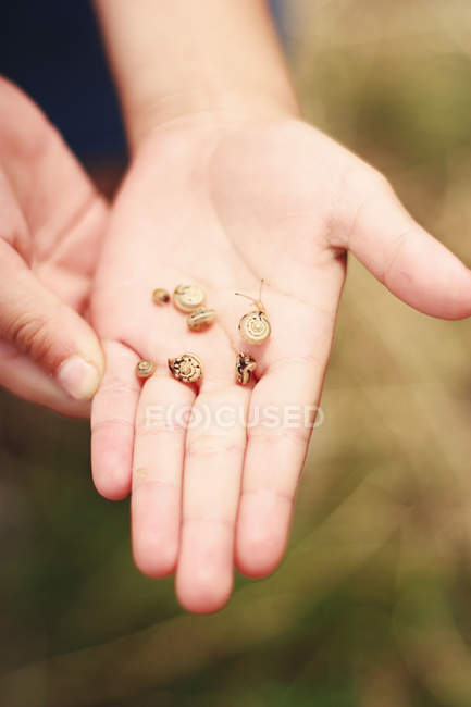 Imagen recortada de Chica mostrando pequeños caracoles en la mano contra el fondo borroso - foto de stock